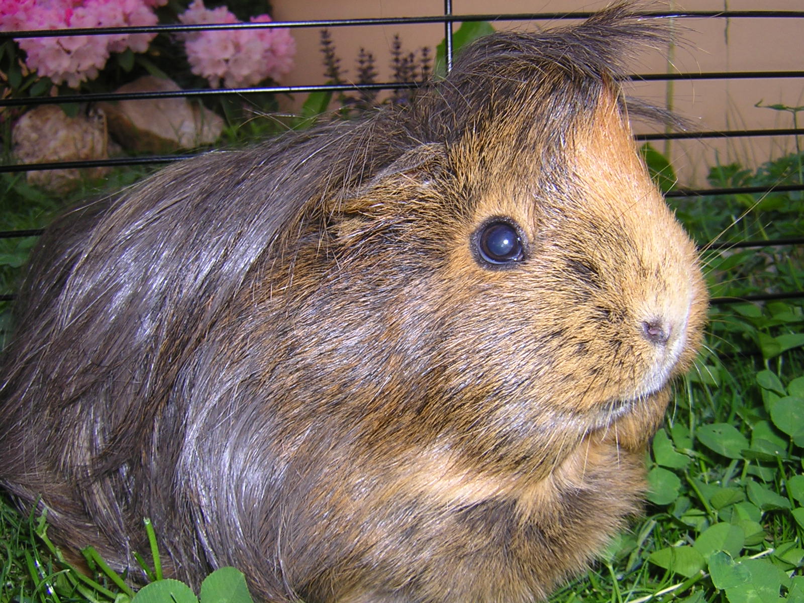 DSCN1798.JPG