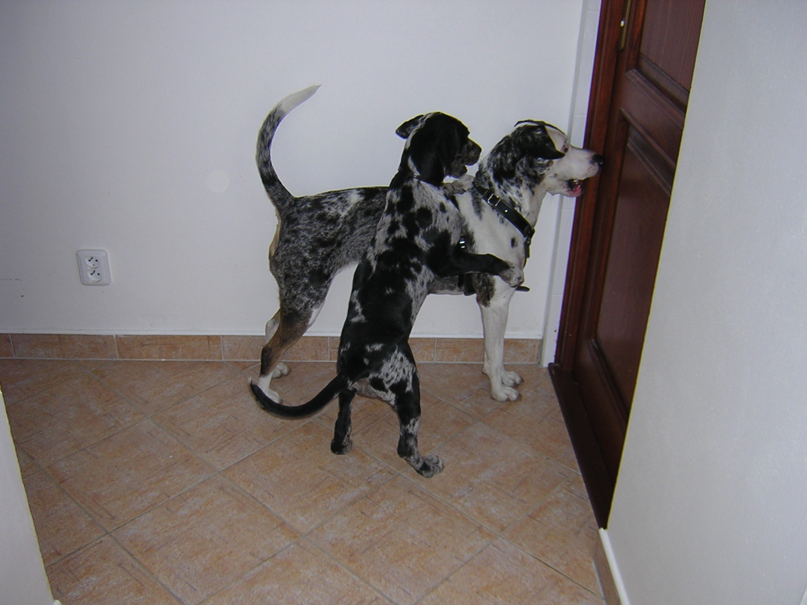 DSCN1810.JPG