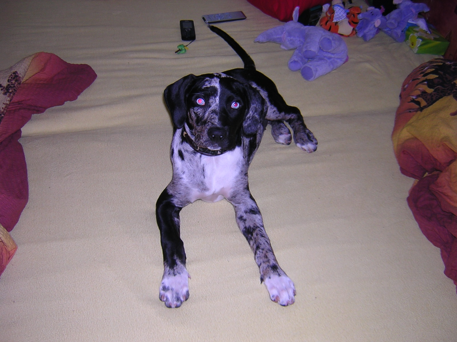 DSCN1812.JPG