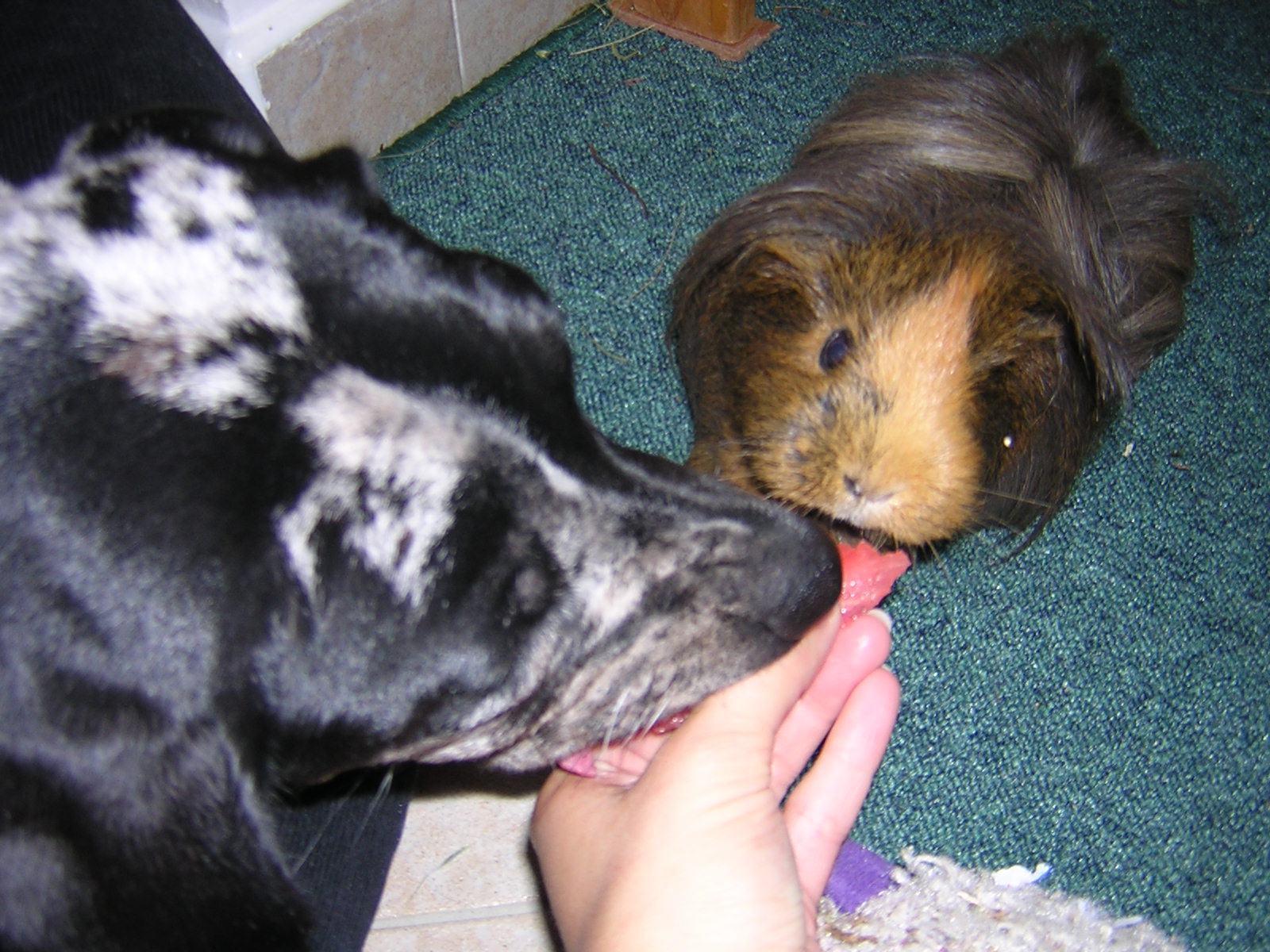 DSCN1817.JPG