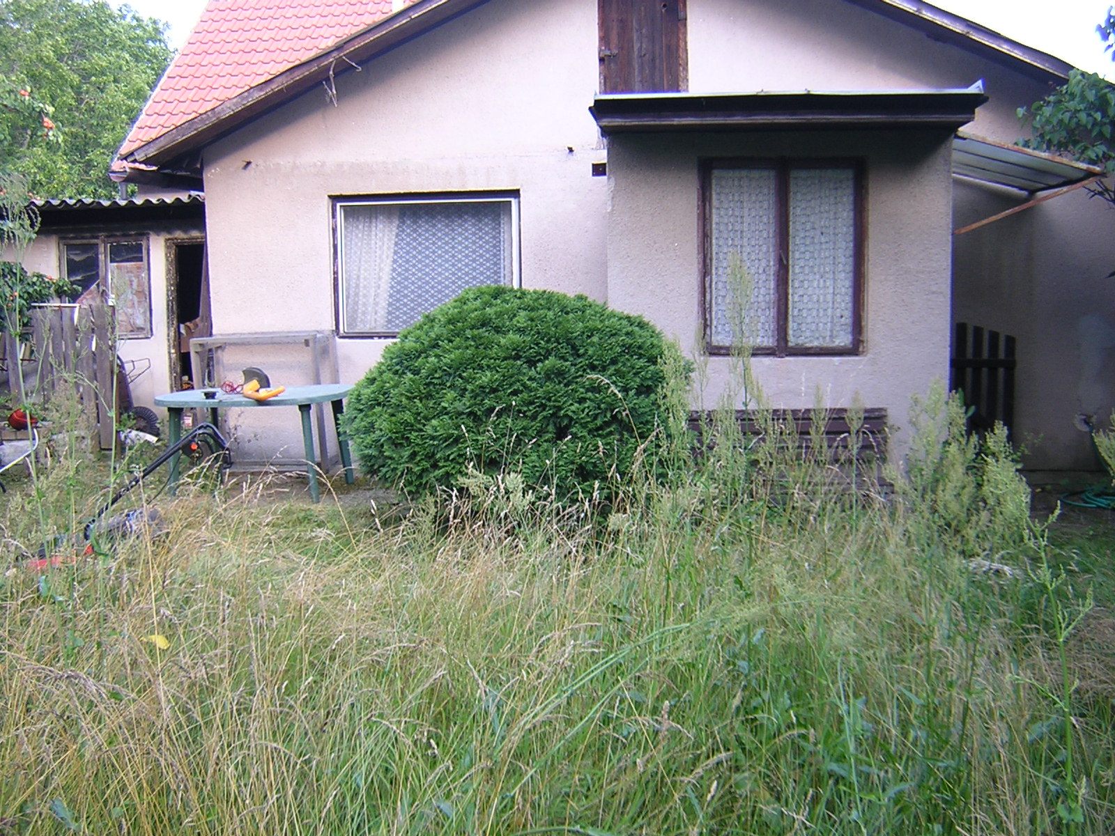 DSCN1966.JPG