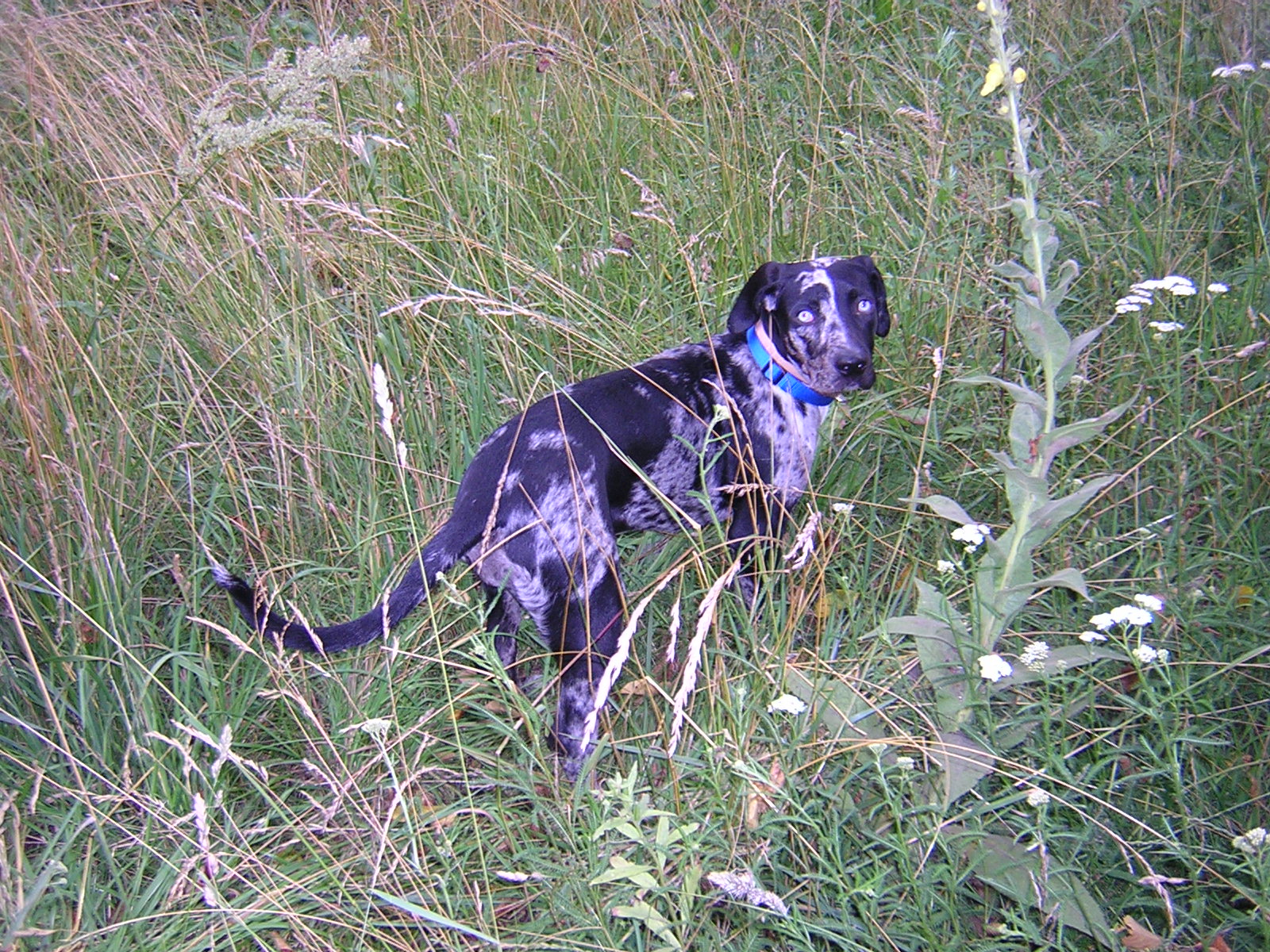 DSCN1969.JPG