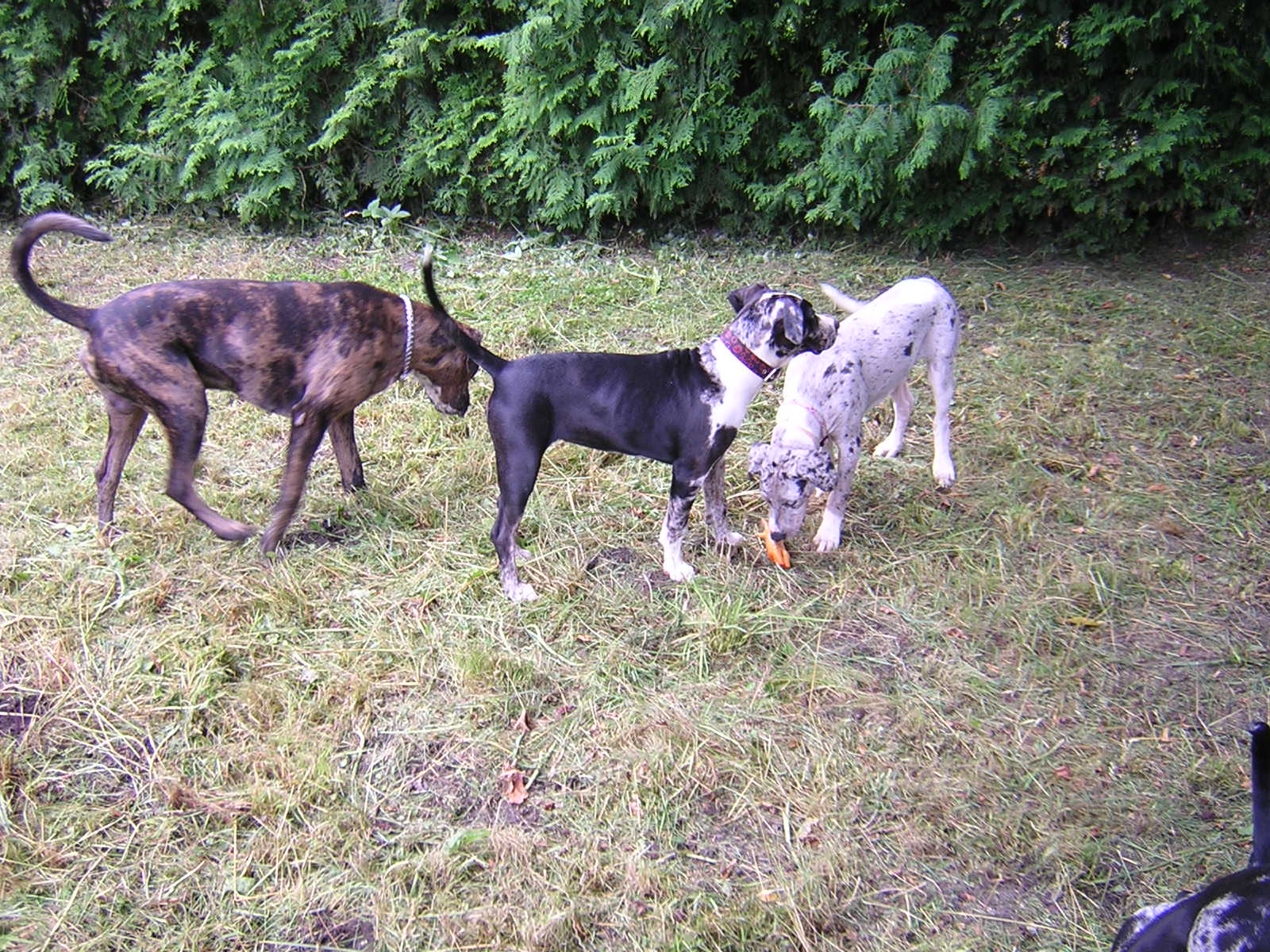 DSCN1973.JPG
