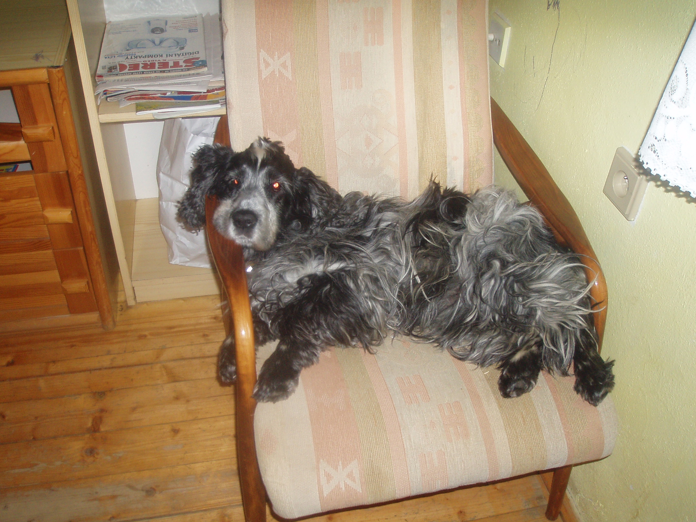 P1010045.JPG