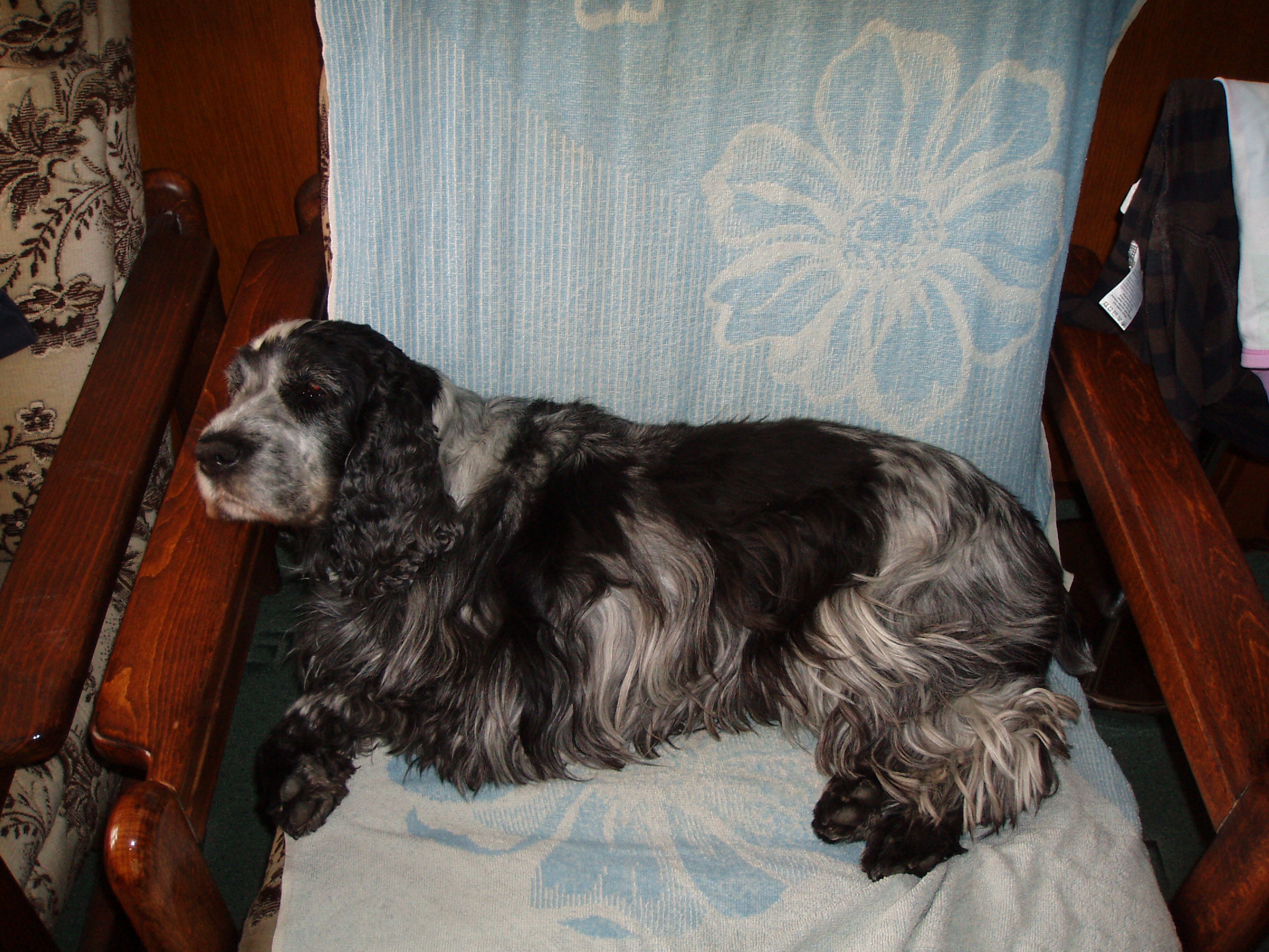 P1010026.JPG