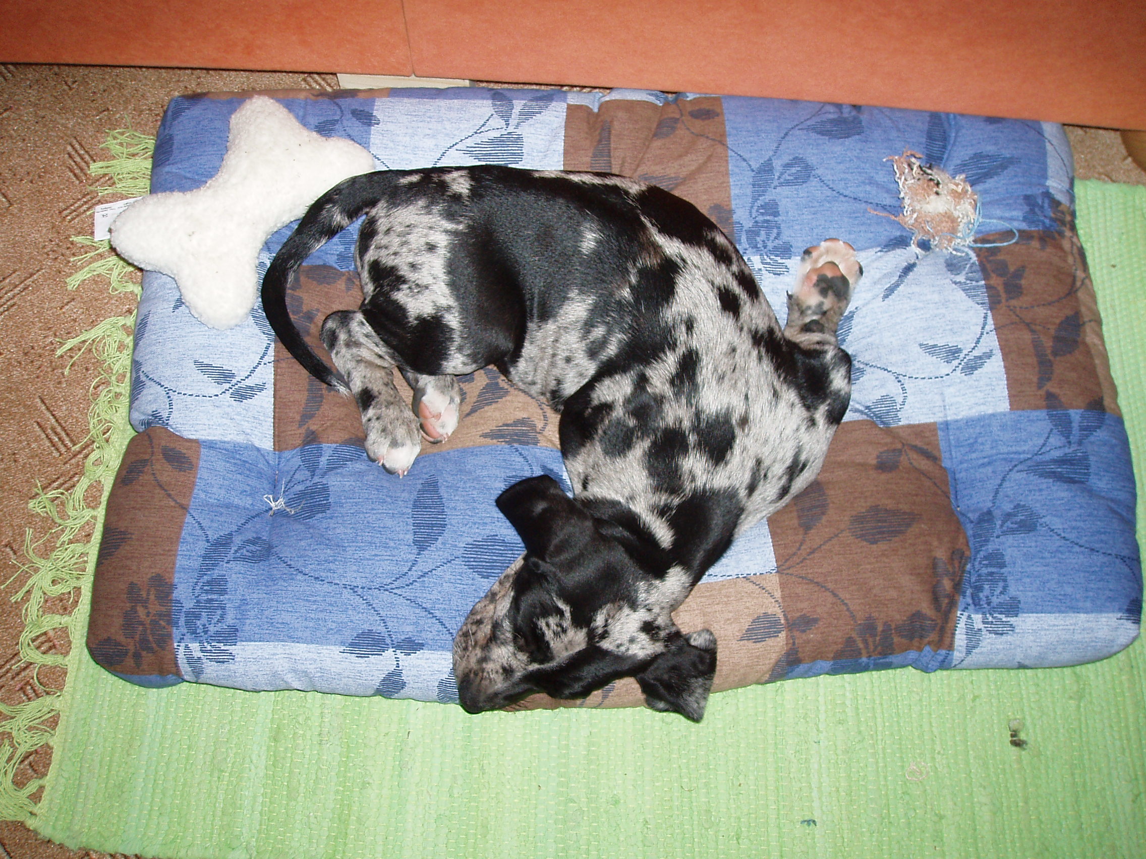 P1010003.JPG